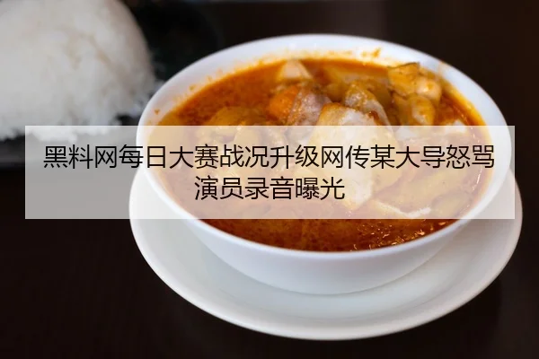 黑料网每日大赛战况升级网传某大导怒骂演员录音曝光