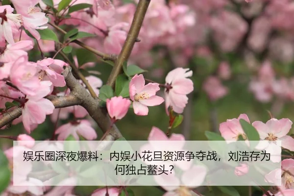 娱乐圈深夜爆料：内娱小花旦资源争夺战，刘浩存为何独占鳌头？
